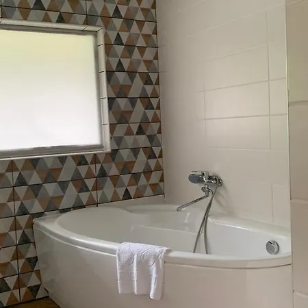 Guest house Gostynets 3*