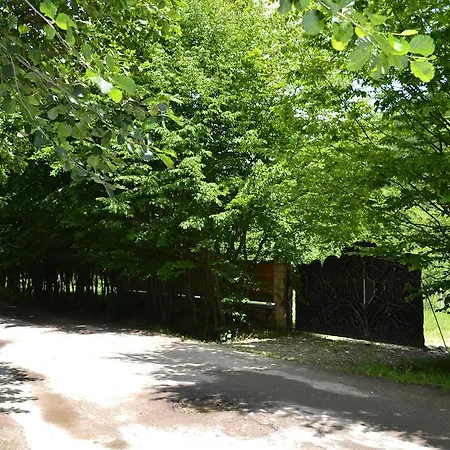 Gostynets Konukevi Yaremche