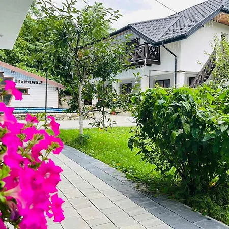 Guest house Gostynets