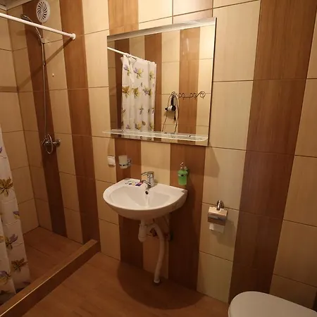 Guest house Gostynets Yaremche