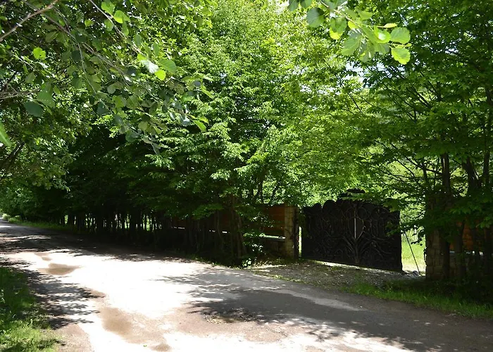 Gostynets Konukevi Yaremche