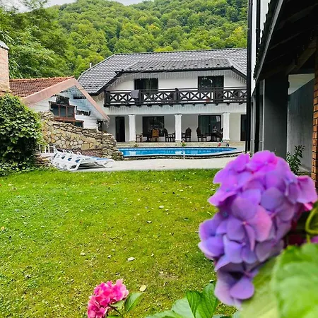 Guest house Gostynets