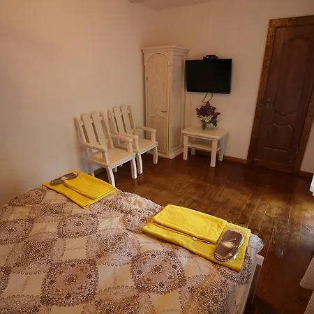 Guest house Gostynets *