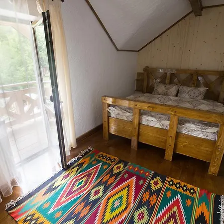 Guest house Gostynets *