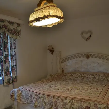 Guest house Gostynets *